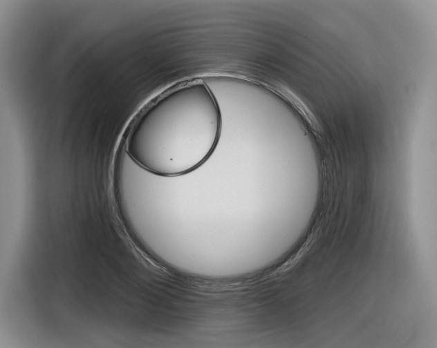 X0000116630884200912110958