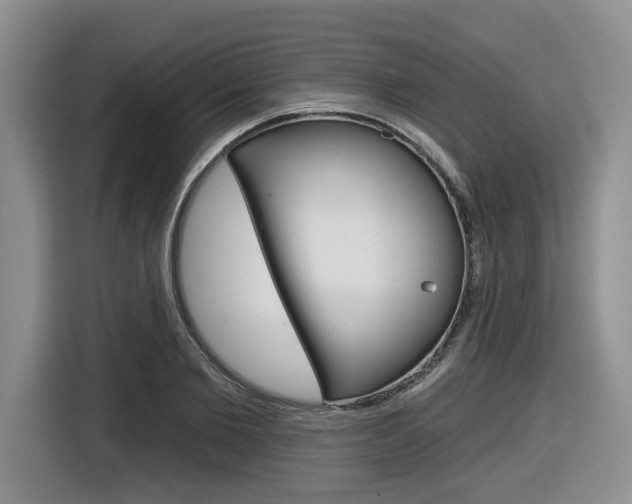 X0000116630885200912110958