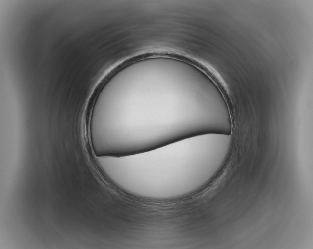 X0000116630887200912110958