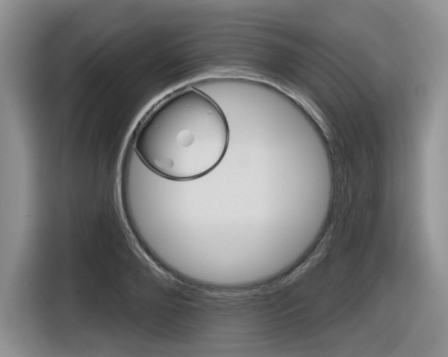 X0000116630888200912110958
