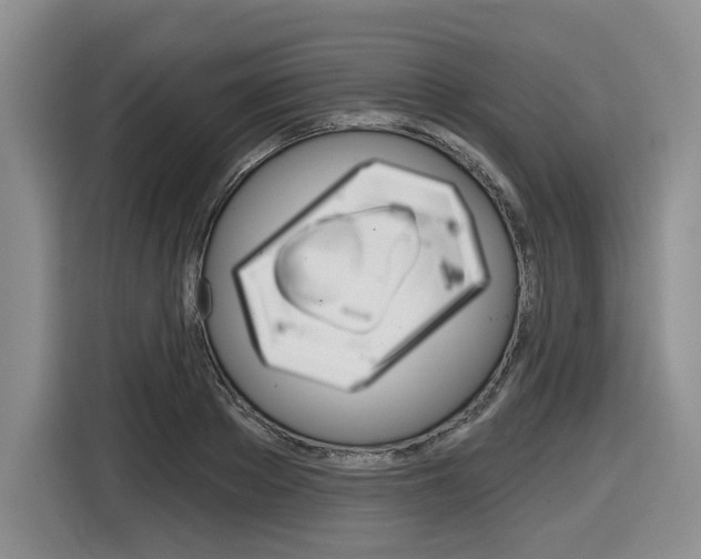 X0000116630889200912110958