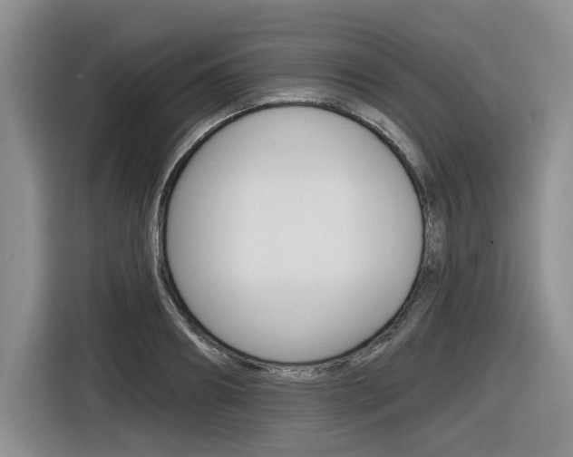X0000116630890200912110958
