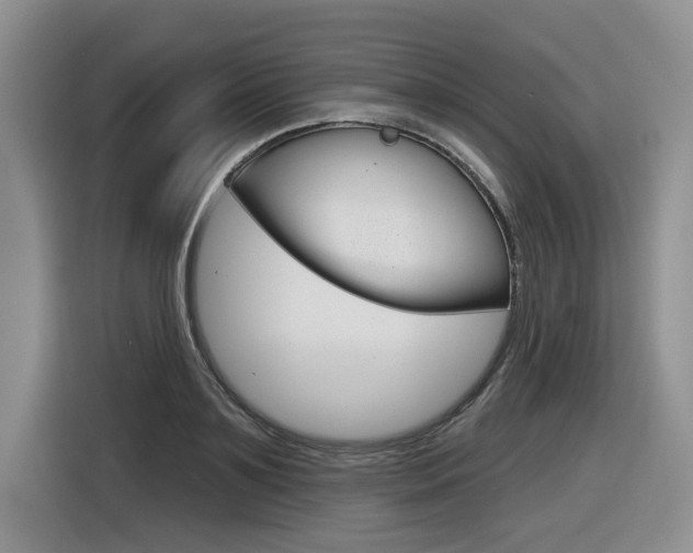 X0000116630891200912110958