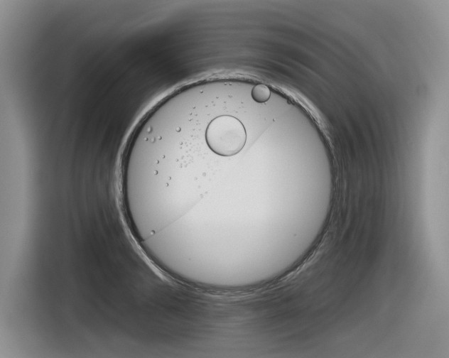 X0000116630894200912110958