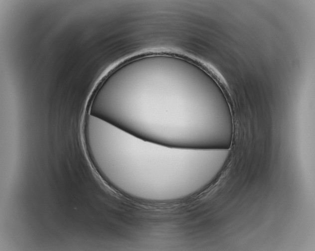 X0000116630895200912110958