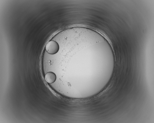 X0000116630898200912110958