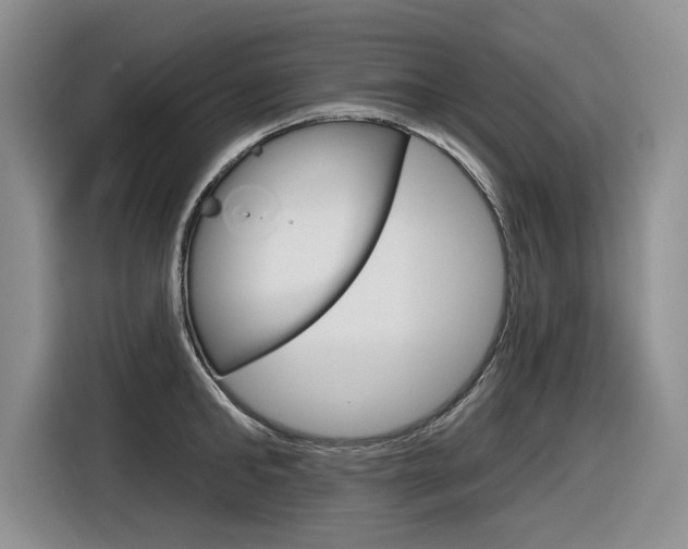 X0000116630902200912110958