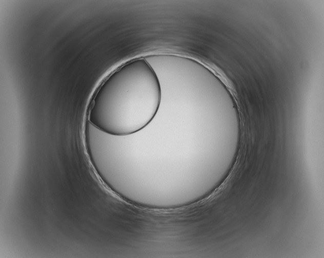 X0000116630904200912110958