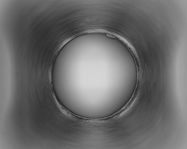 X0000116630905200912110958