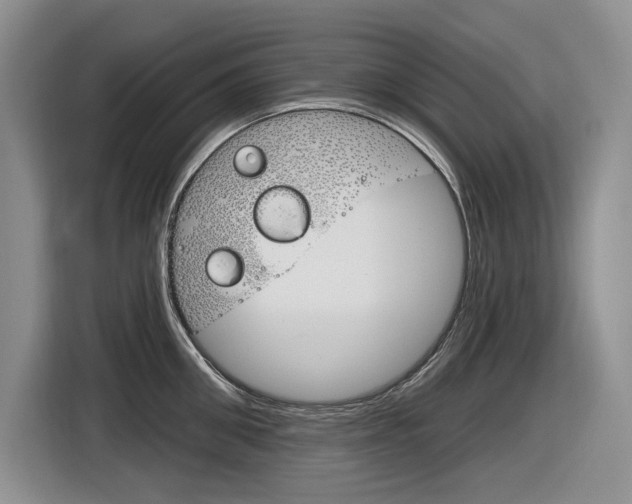 X0000116630906200912110958