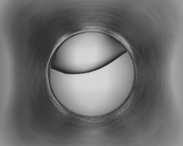 X0000116630907200912110958