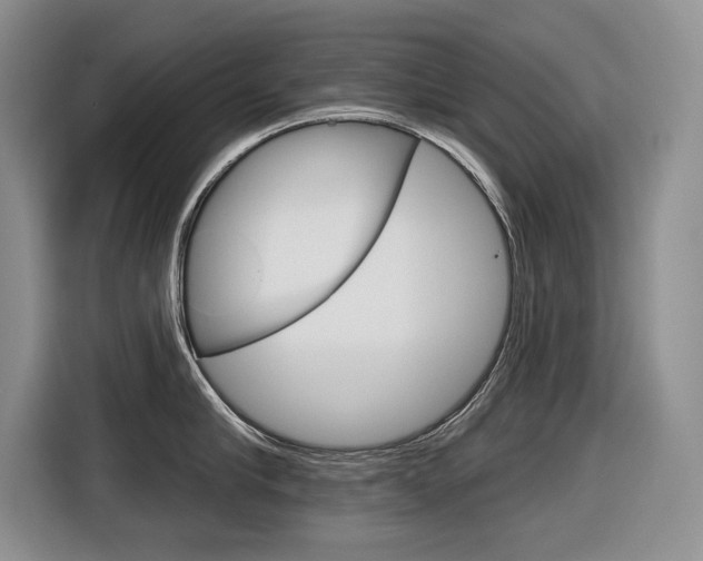 X0000116630910200912110958
