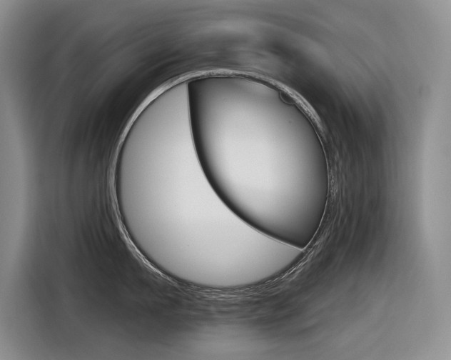 X0000116630911200912110958