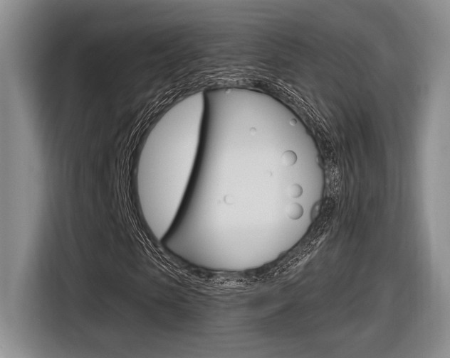 X0000116630913200912110957