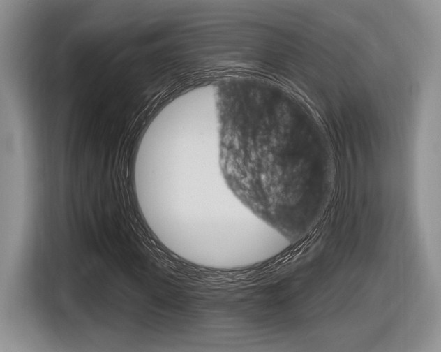 X0000116630915200912110957