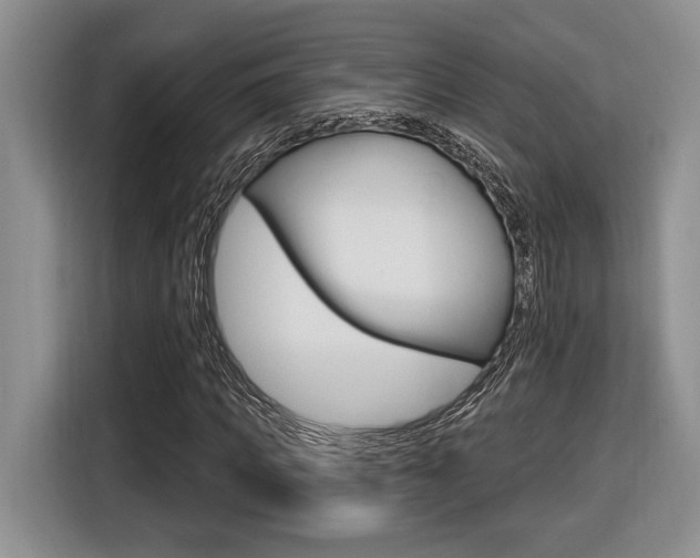 X0000116630917200912110958