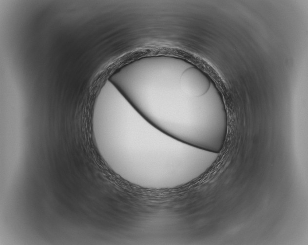 X0000116630919200912110958