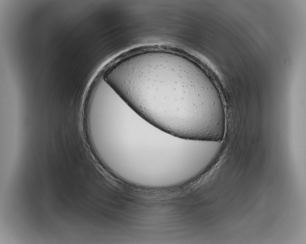 X0000116630927200912110958