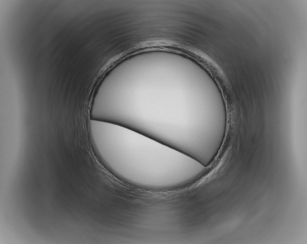 X0000116630929200912110958