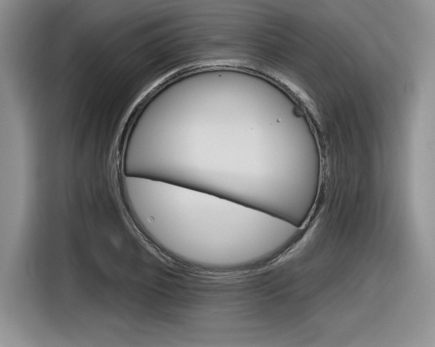 X0000116630933200912110958