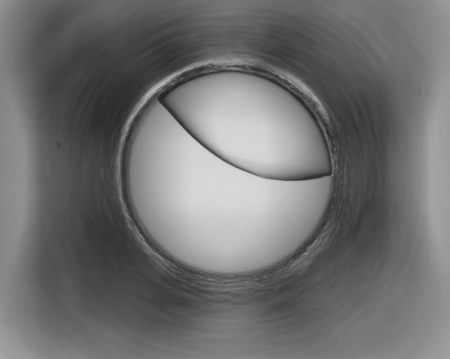 X0000116630935200912110958