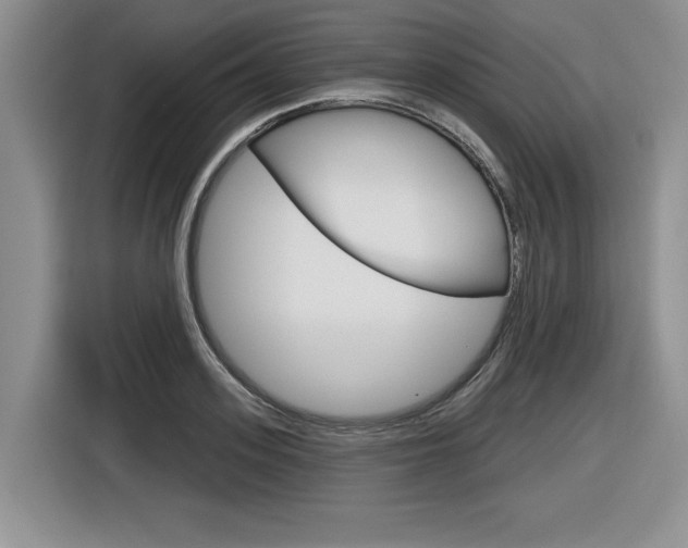 X0000116630939200912110958