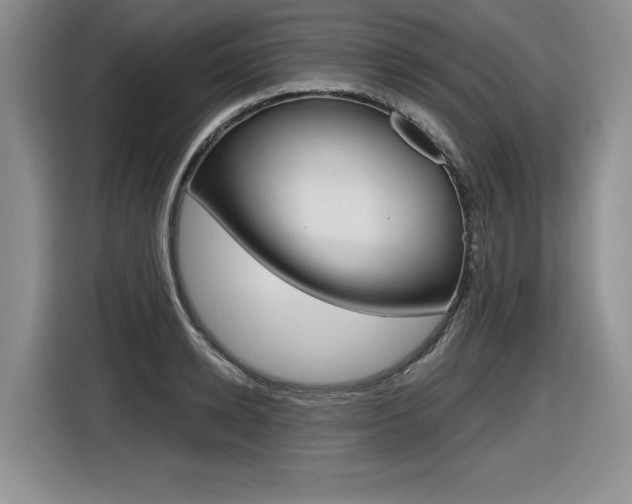 X0000116630942200912110958