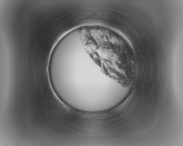 X0000116630943200912110958