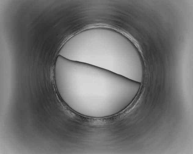 X0000116630945200912110958