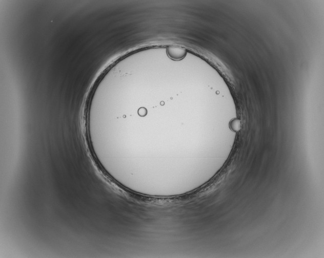 X0000116630950200912110958