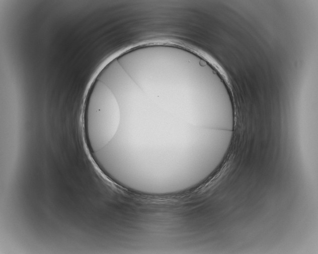 X0000116630951200912110958