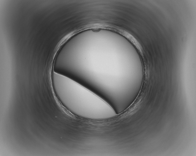 X0000116630954200912110958
