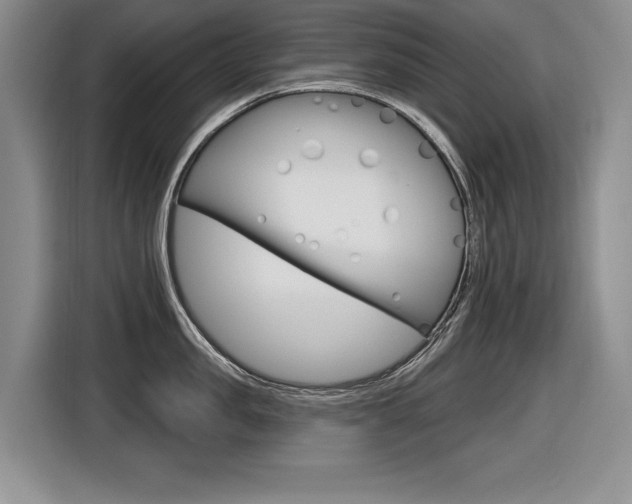 X0000116630957200912110958