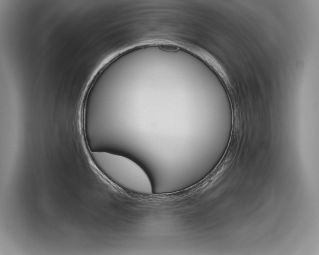 X0000116630958200912110958