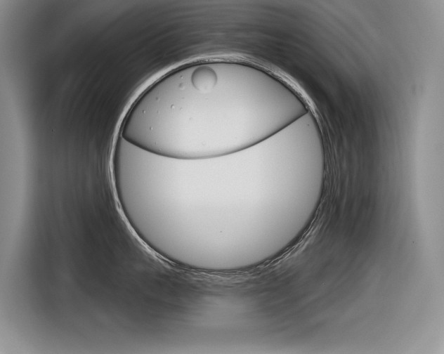 X0000116630959200912110958