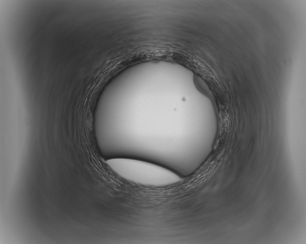 X0000116630961200912110957