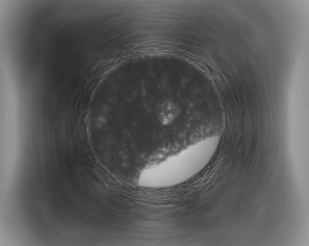 X0000116630962200912110957