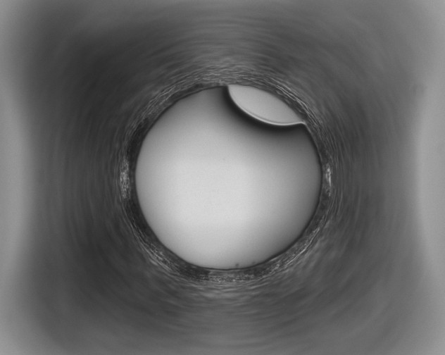 X0000116630963200912110957