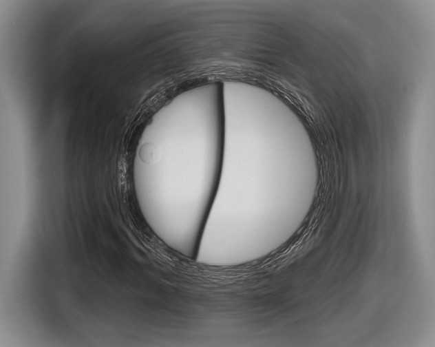 X0000116630964200912110957
