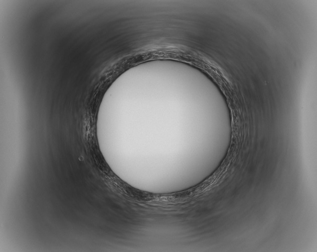 X0000116630966200912110957