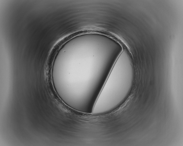 X0000116630971200912110957