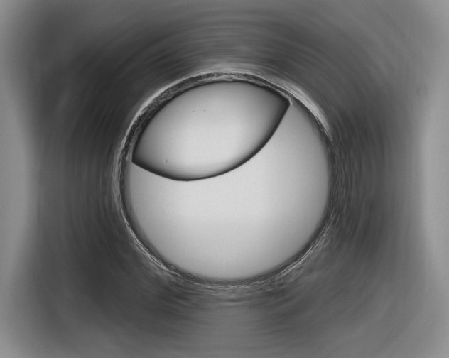 X0000116630972200912110957