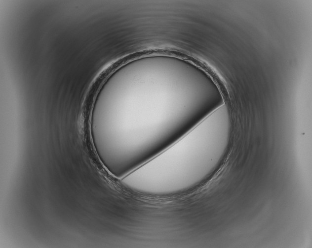 X0000116630975200912110957