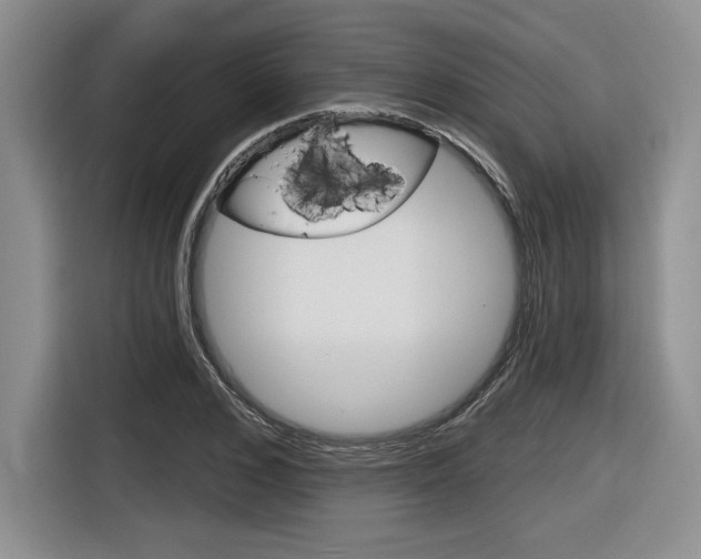 X0000116630976200912110957
