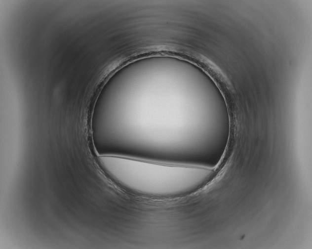 X0000116630977200912110957
