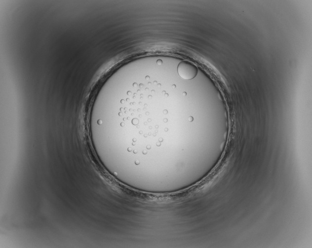 X0000116630978200912110957