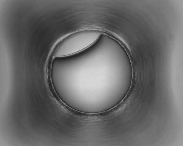 X0000116630979200912110957