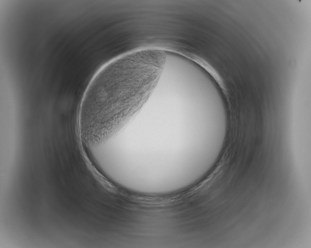 X0000116630980200912110957