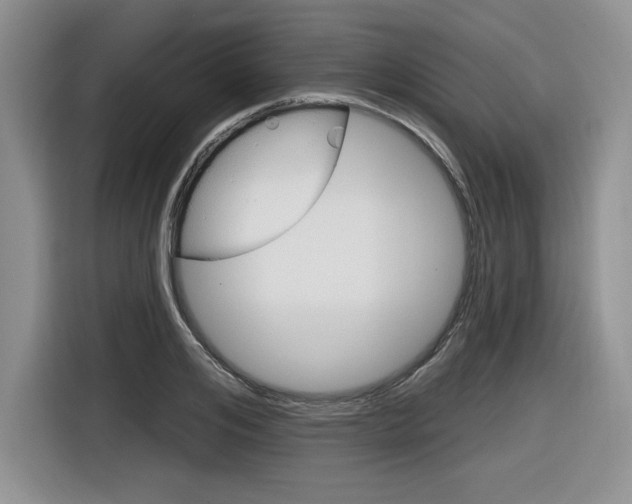 X0000116630984200912110957