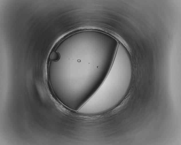X0000116630988200912110957